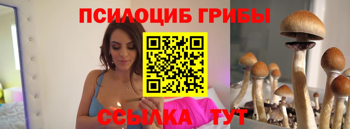 Галлюциногенные грибы MAGIC MUSHROOMS Джанкой